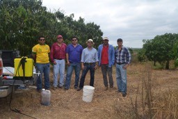 Picture from Mango report