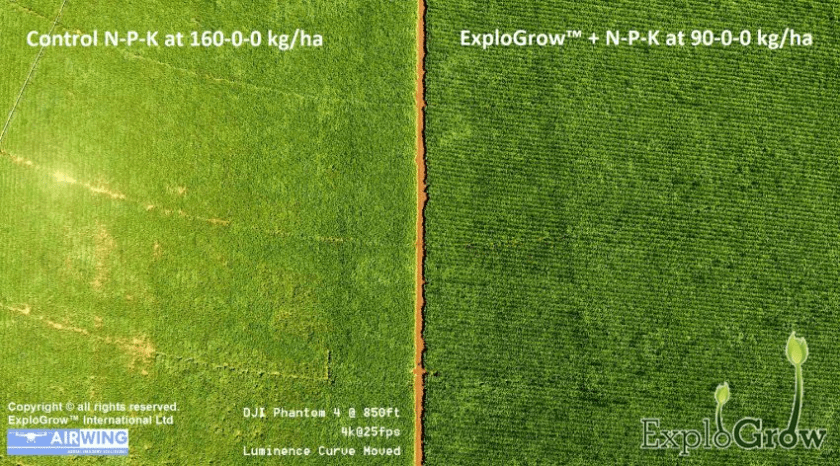 32.56% Increased Sugarcane Yield using SumaGrow pic5