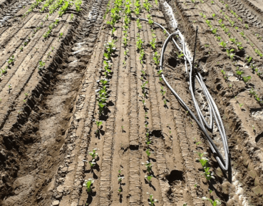 URB Water – First Trial pic 1