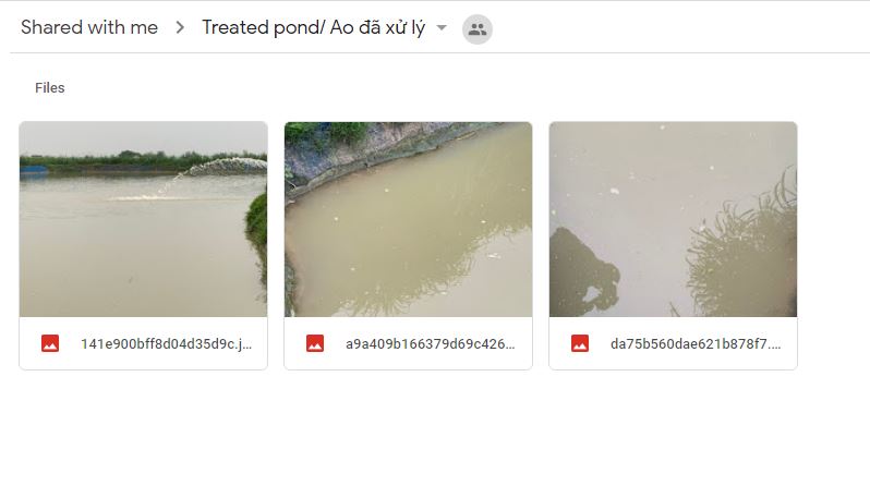 Vietnam Treated Pond Feb 2020