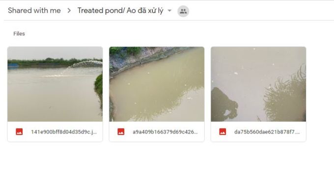 Vietnam Treated Pond Feb 2020